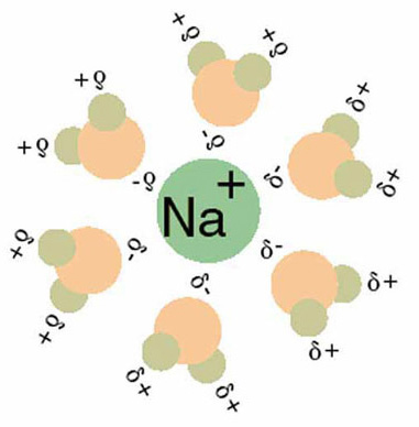 Solvation of Na+ with water