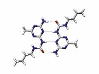 An example of a quadruple hydrogen bond between a self-assembled dimer complex reported by Meijer and coworkers.