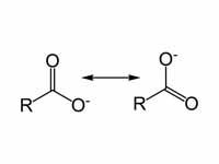 Carboxylate canonical forms