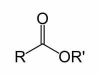Ester