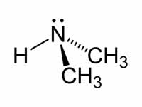 Dimethylamine