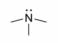 Trimethylamine