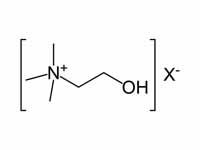 Choline