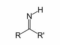 Primary ketimine