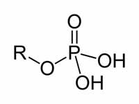 Phosphate