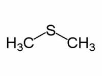 Dimethyl sulfide