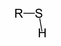 Thiol